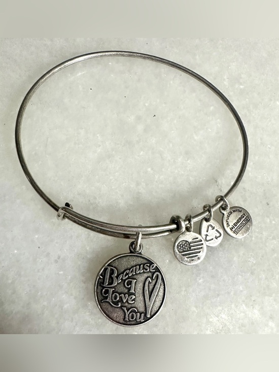 Alex and Ani Jewelry - ALEX AND ANI Because I Love You + Energy Silver Tone Bracelet Adjustable
Bangle